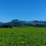 Hintergrund Sommer Wiese Berge