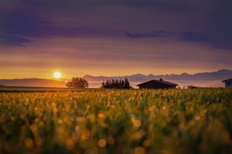 Frühstück mit Radio MusikWelle Allgäu – Der perfekte Start in den Tag mit Musik